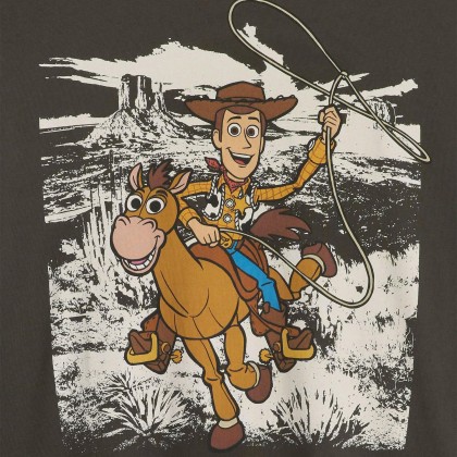 Levis T-shirt  X  Boxy X  Woody Bulls