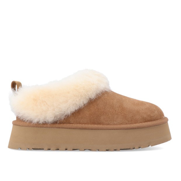 Ugg W Tazzelle Chestnut