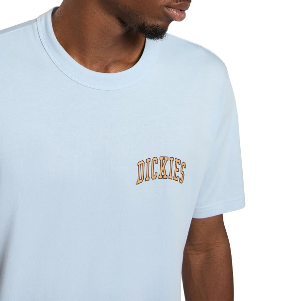 Dickies Aitkin Chest Tee Ss Skyway