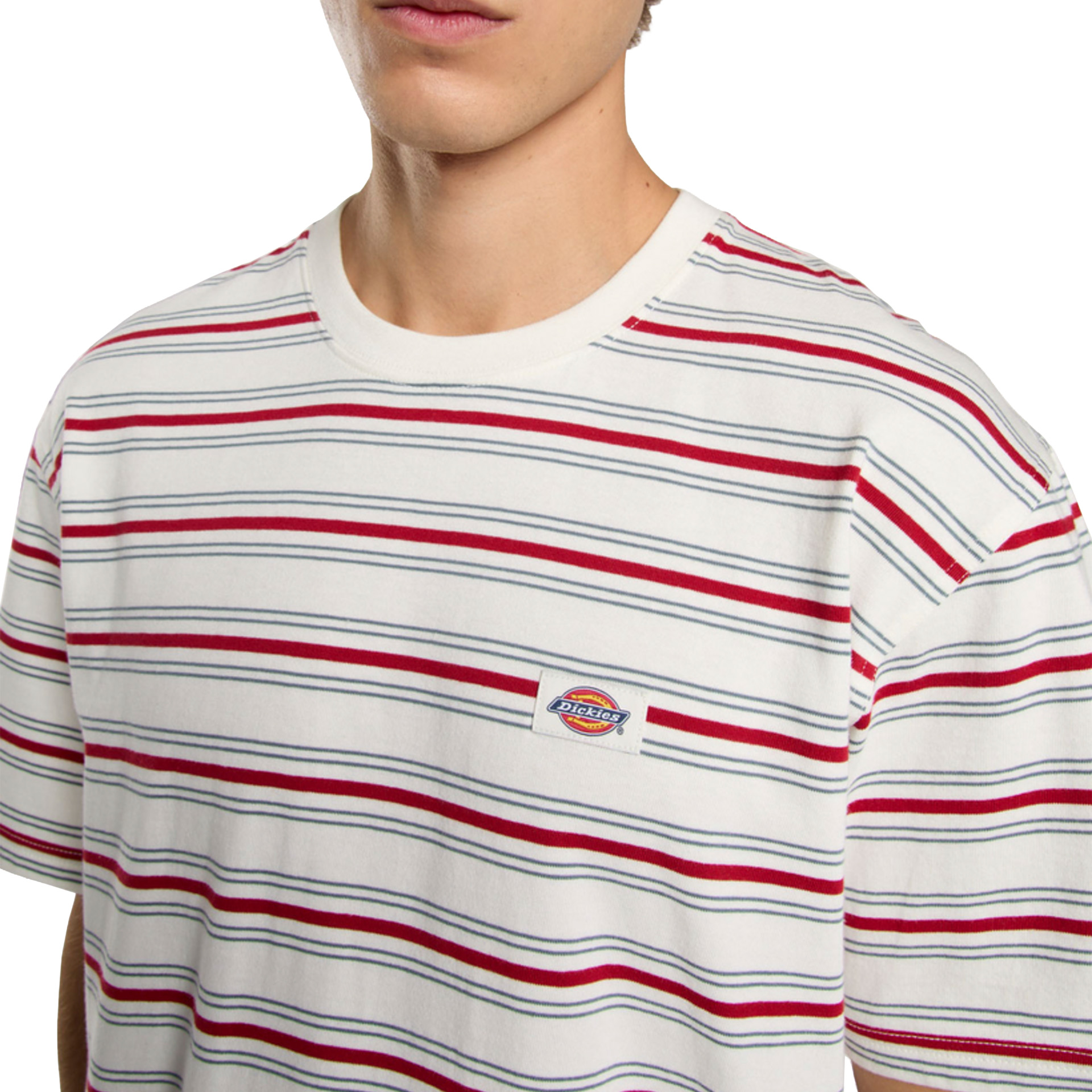 Dickies Lewistown Stripe Ss Tee Egret