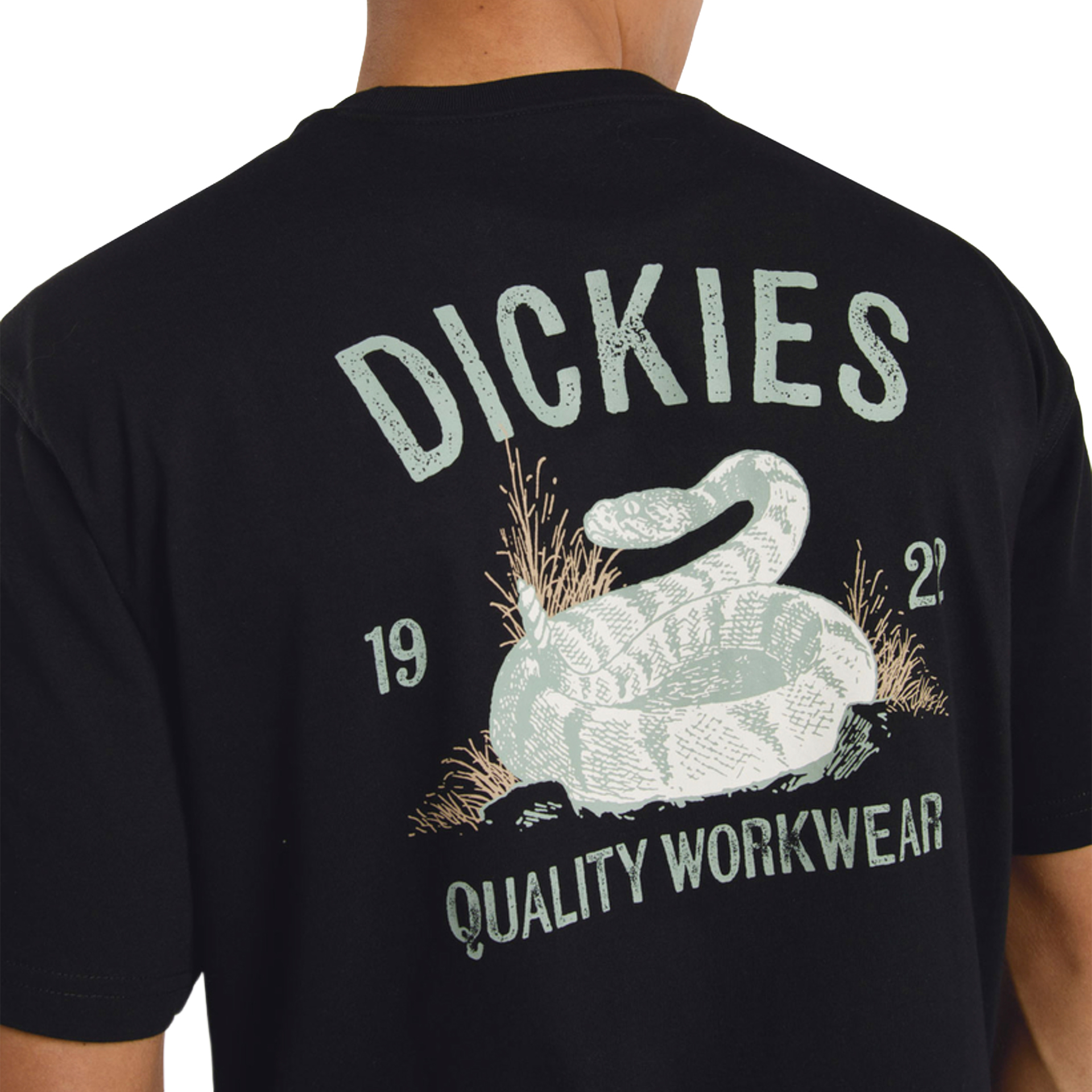 Dickies Snake Ss Tee Black
