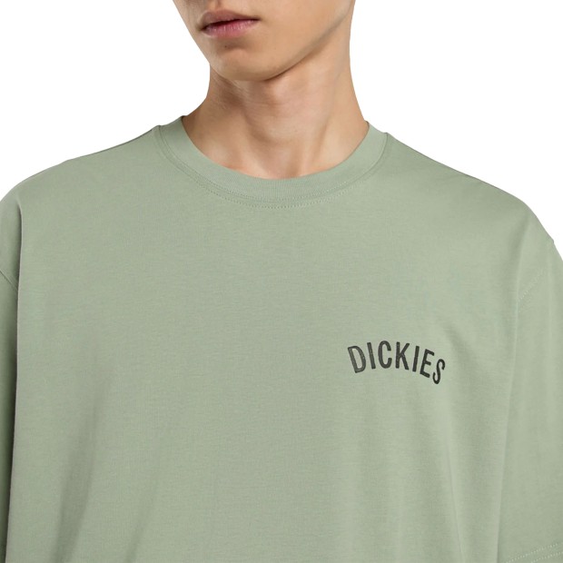Dickies Snake Ss Tee Iceberg Green
