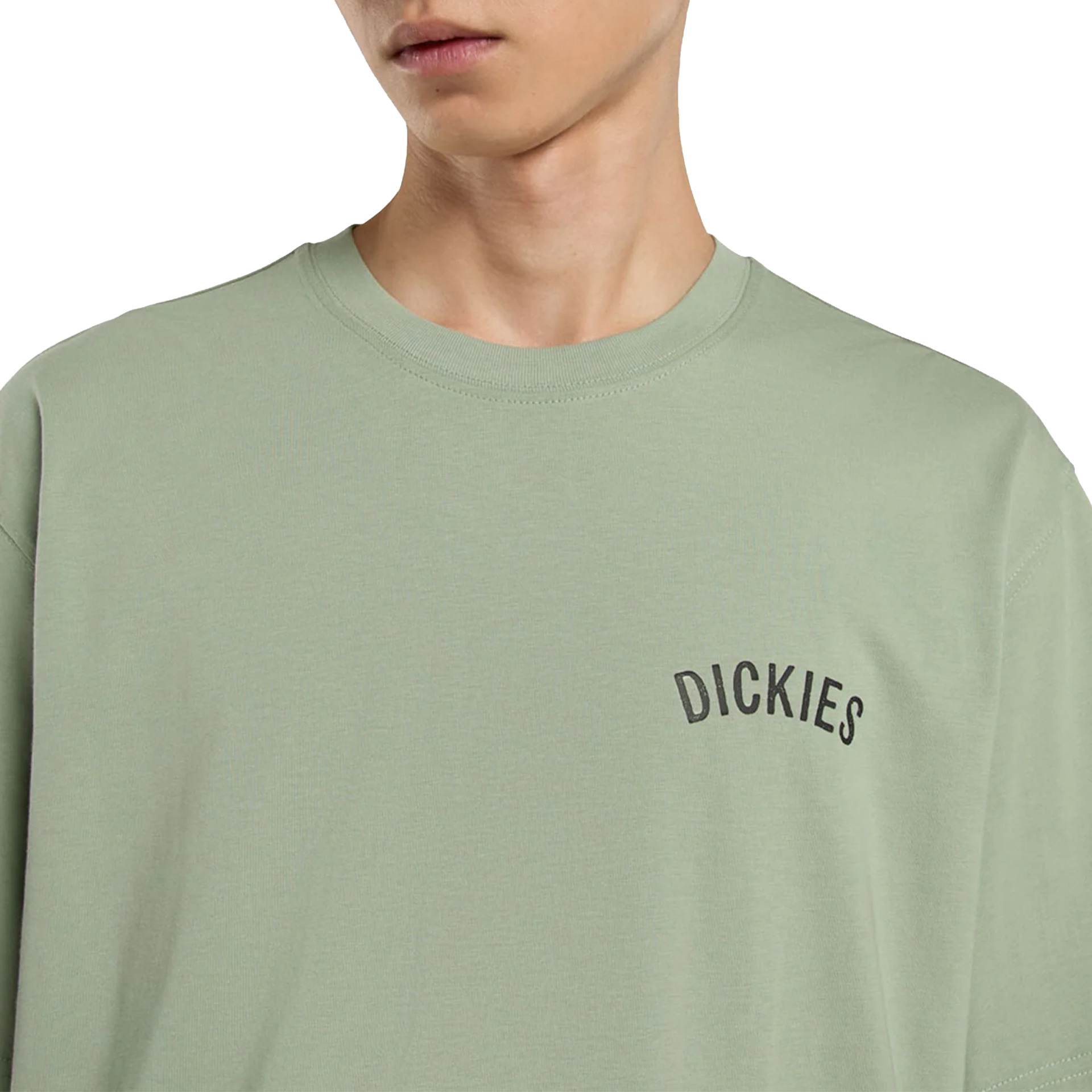 Dickies Snake Ss Tee Iceberg Green