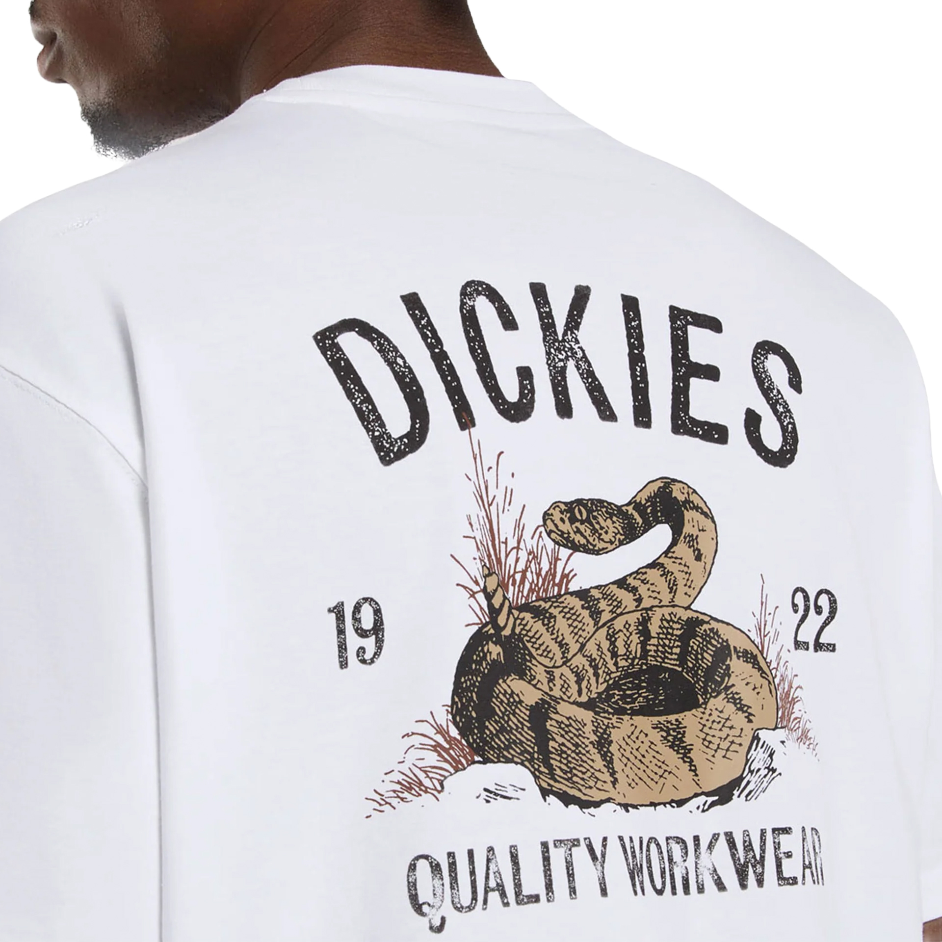 Dickies Snake Ss Tee White