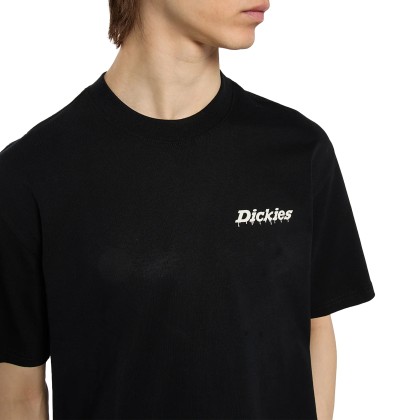 Dickies T-shirt Statesville Black Dickies T-shirt Statesville Black