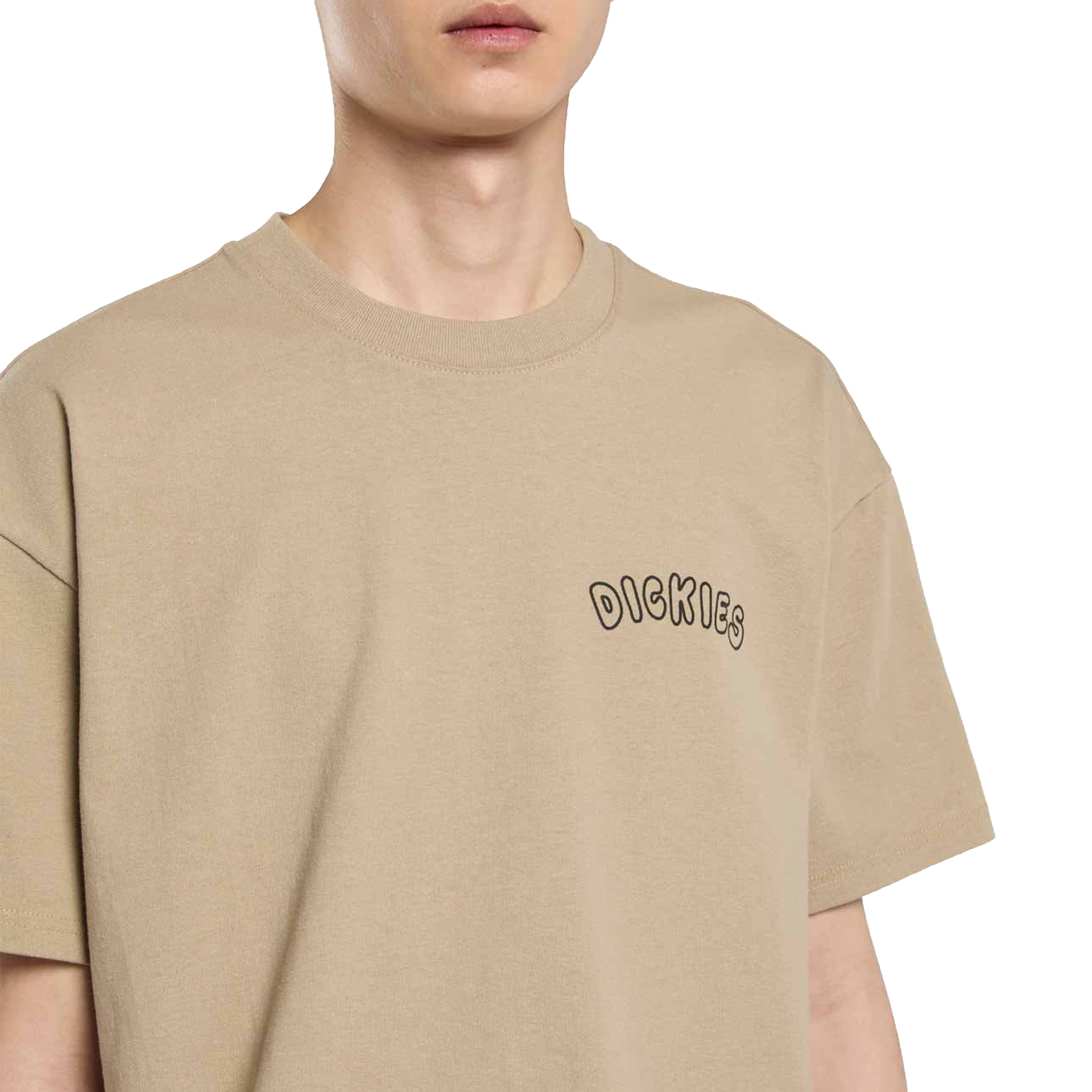 Dickies T-shirt Decartuville Desert Sand
