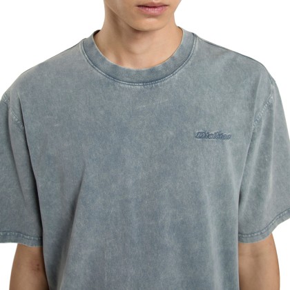 Dickies Plentywood Tee Ss Stormy Weather