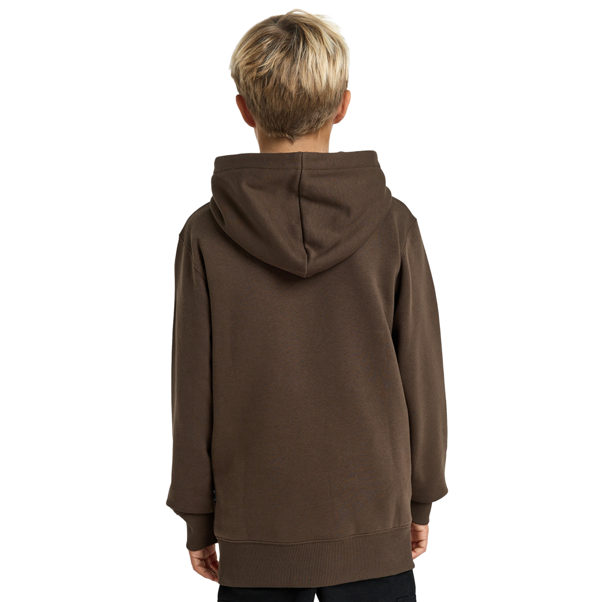 Billabong Sweat Capuz Arch Dark Cedar