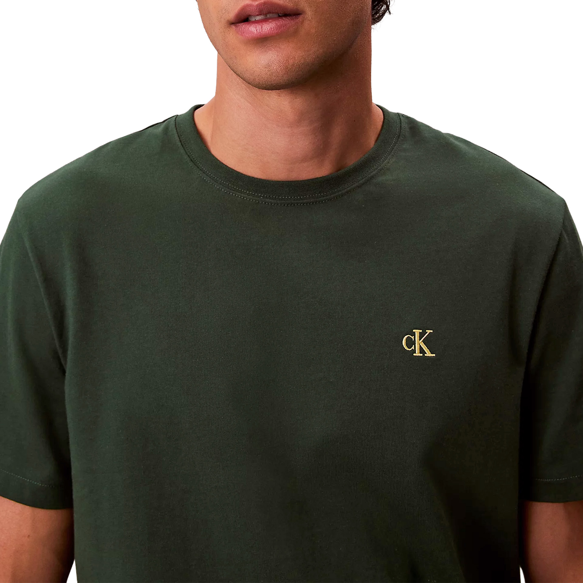 Calvin Klein T-shirt Easy Monogram Green