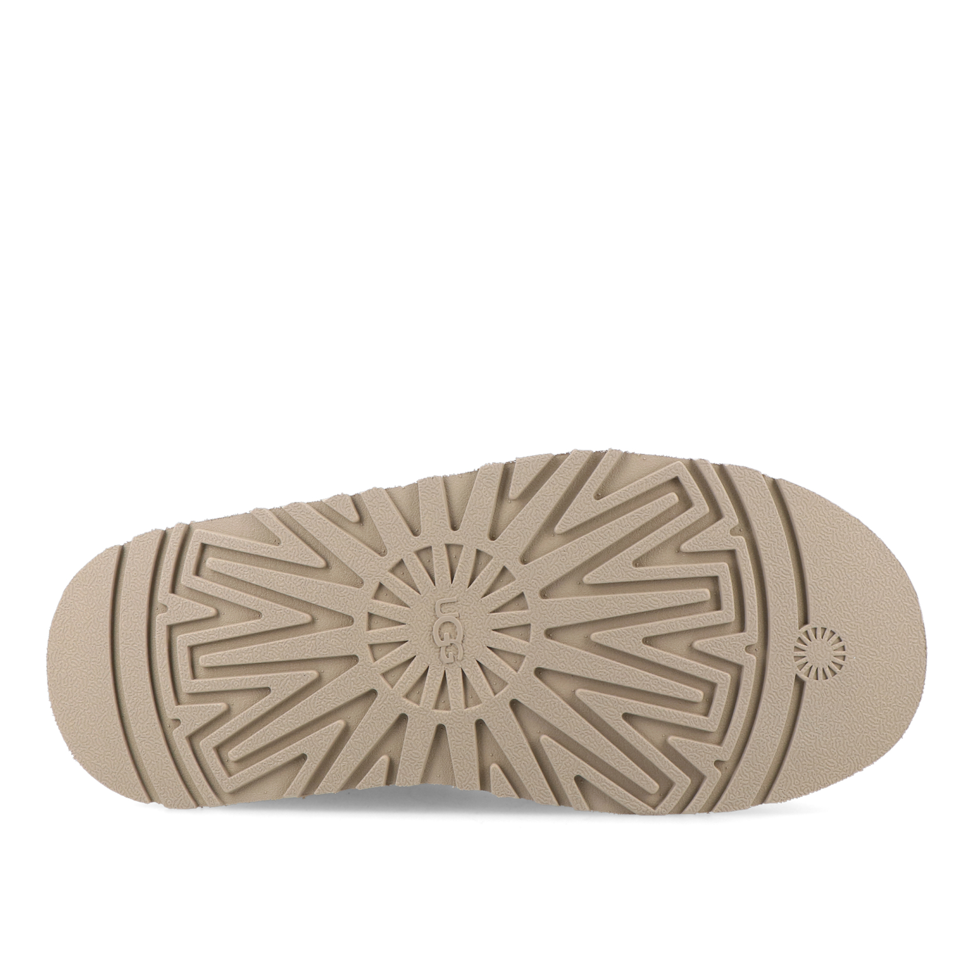 Ugg W Tazz Ii Dried Oregano