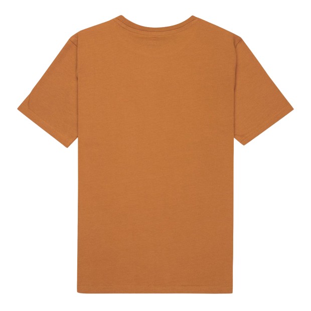 Quiksilver T-shirt Ev Corpo Classic Tobacco Brown