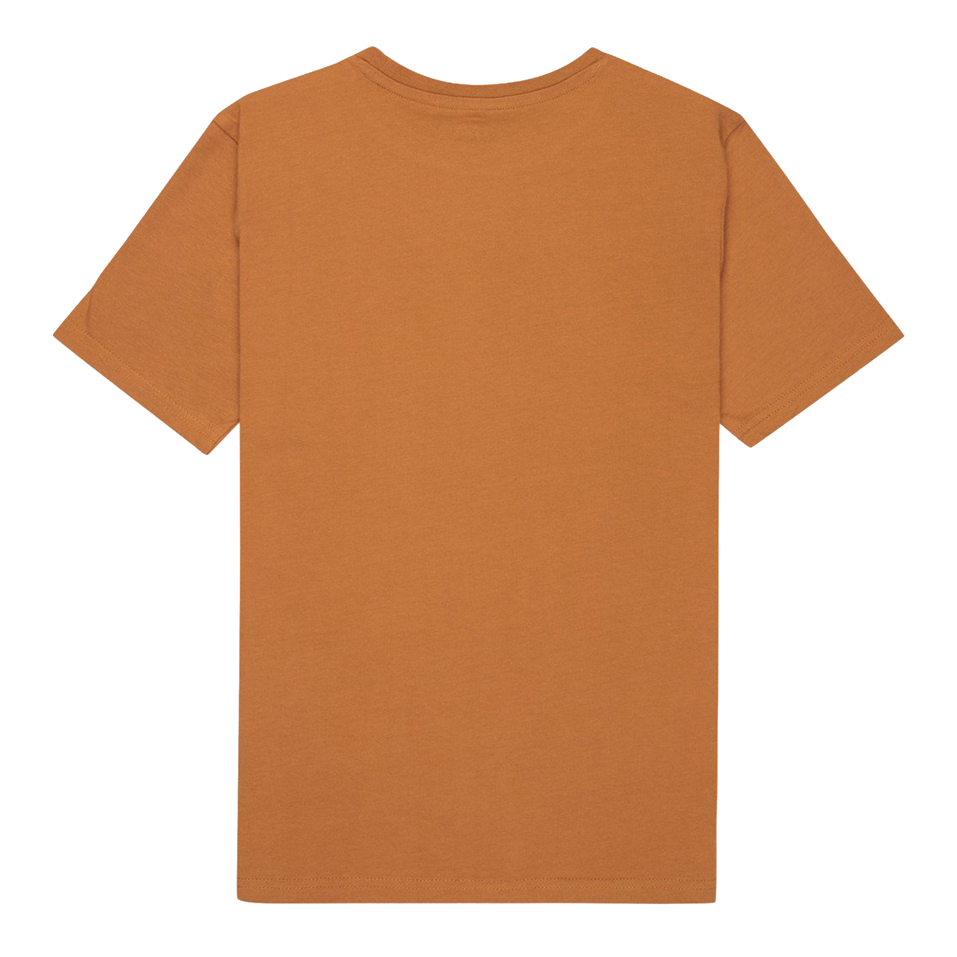 Quiksilver T-shirt Ev Corpo Classic Tobacco Brown