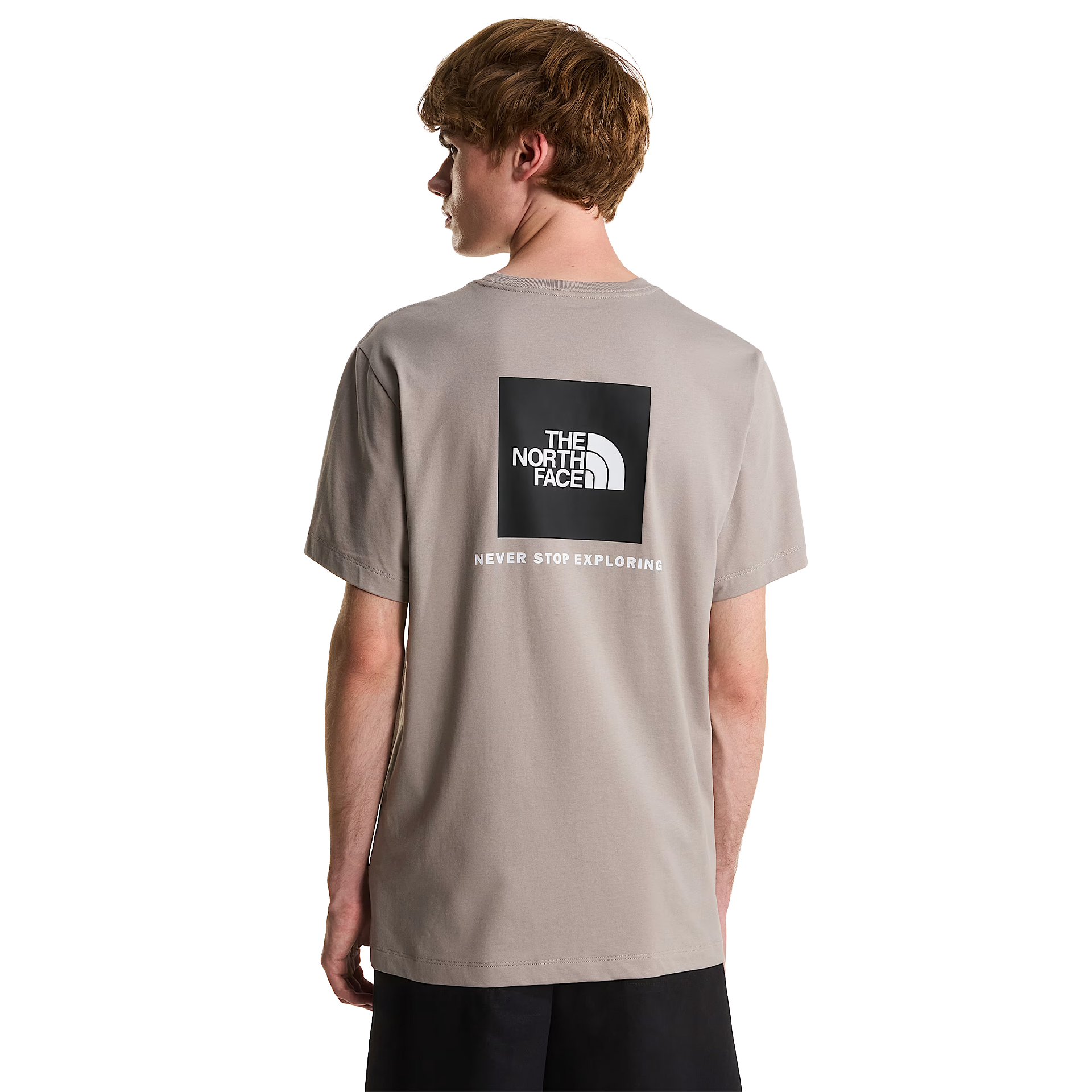The North Face T-shirt M Evolution Box Nse Regular Stone Slab