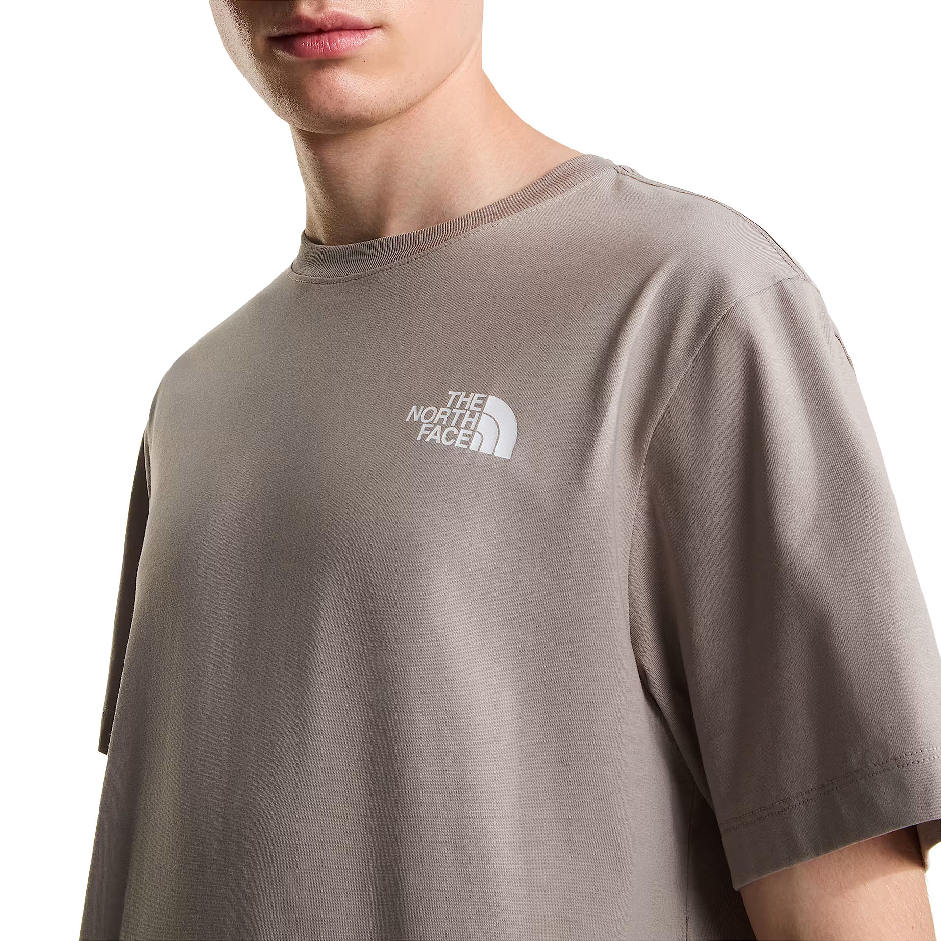The North Face T-shirt M Evolution Box Nse Regular Stone Slab