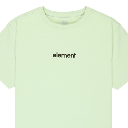 Element T-shirt Lowcase Bp Green Lily