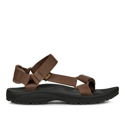 Teva Winsted Bison