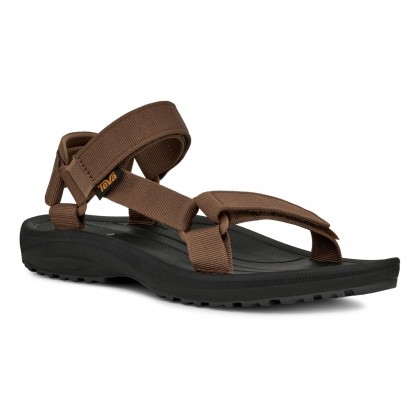 Teva Winsted Bison