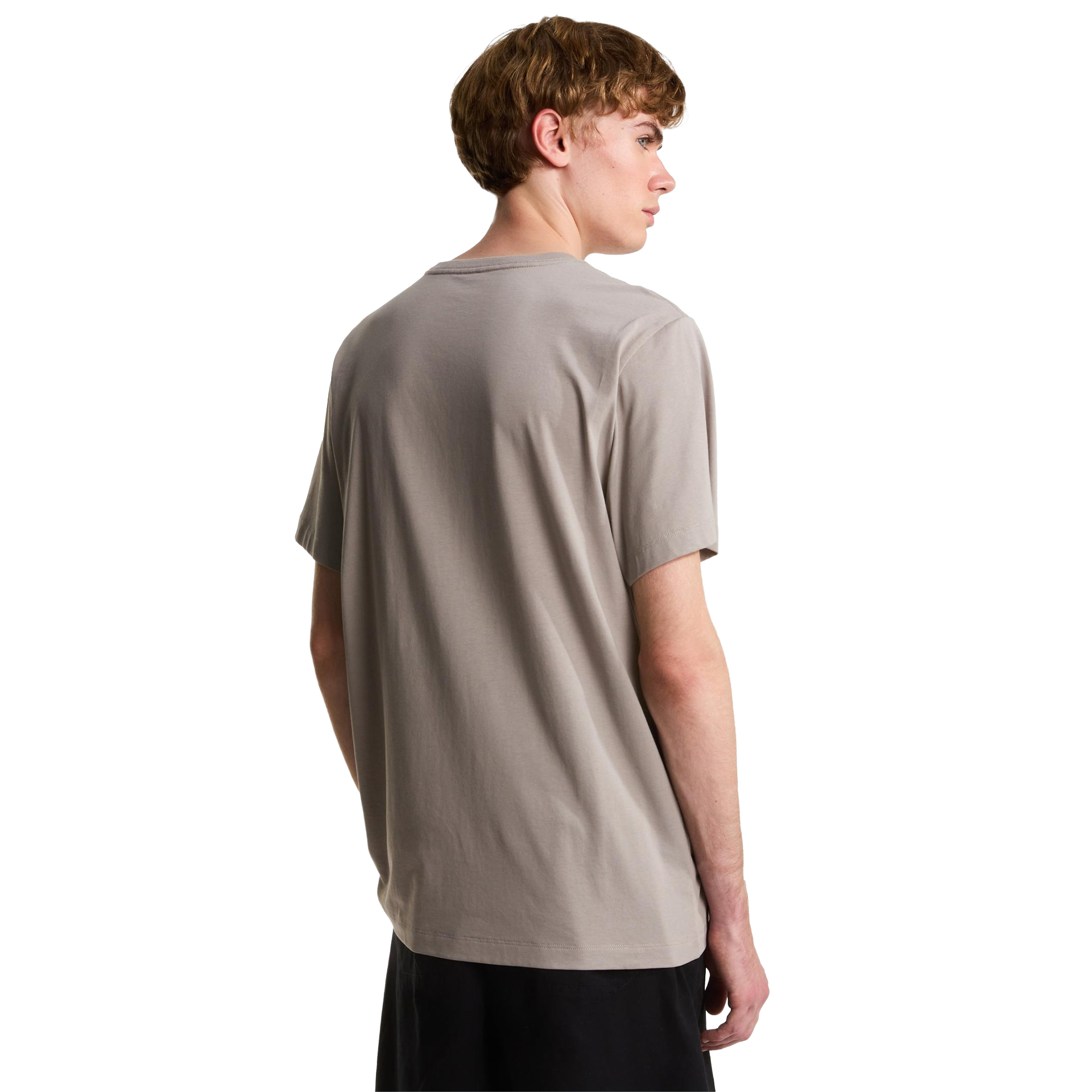 The North Face T-shirt M Evolution Simple Dome Regular Stone Slab