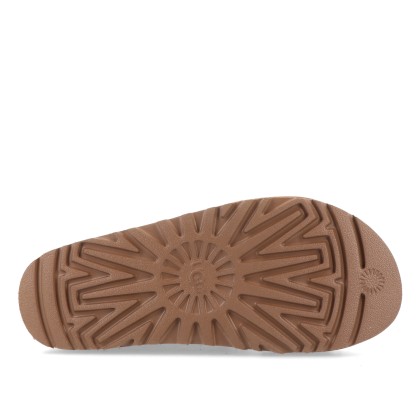 Ugg W Goldenstar Hi Artistitch Chestnut Multi