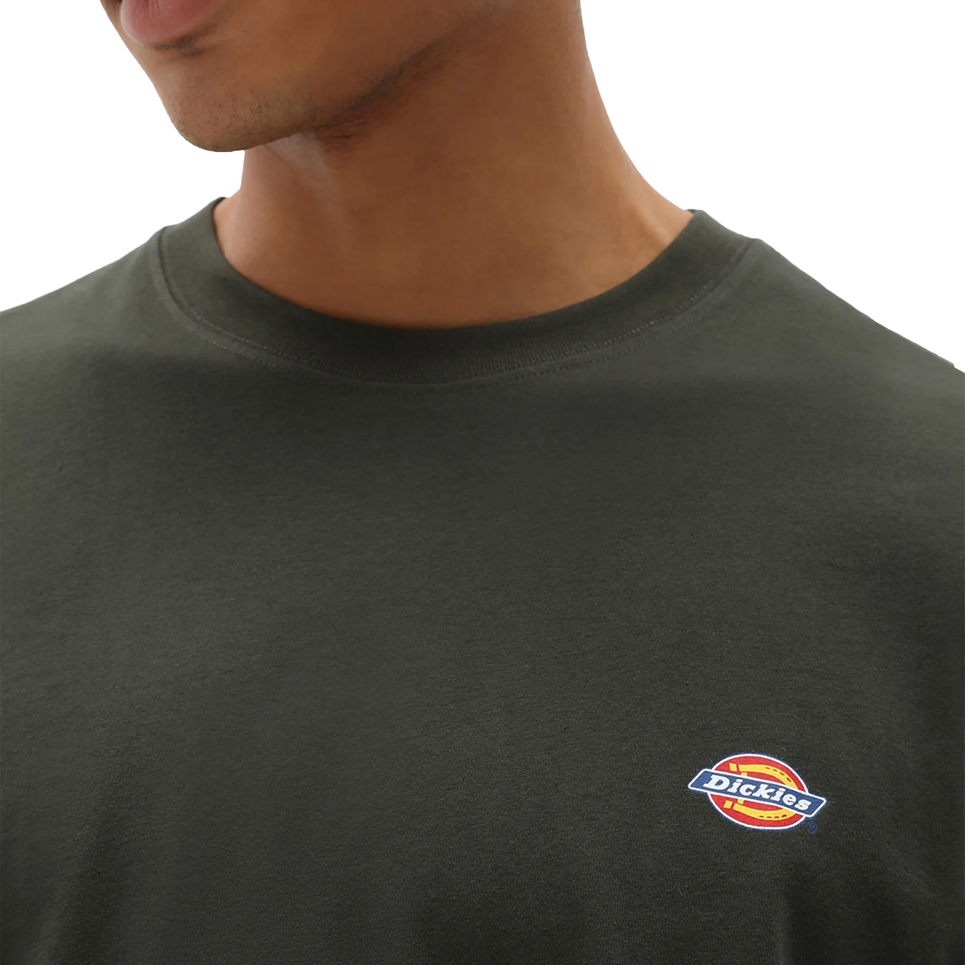 Dickies T-shirt Mapleton Olive Green