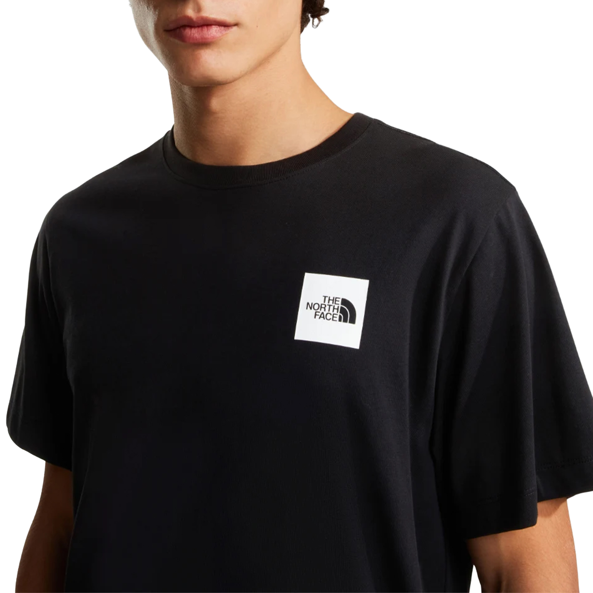 The North Face T-shirt M Evolution Box Half Dome Reg Tnf Black