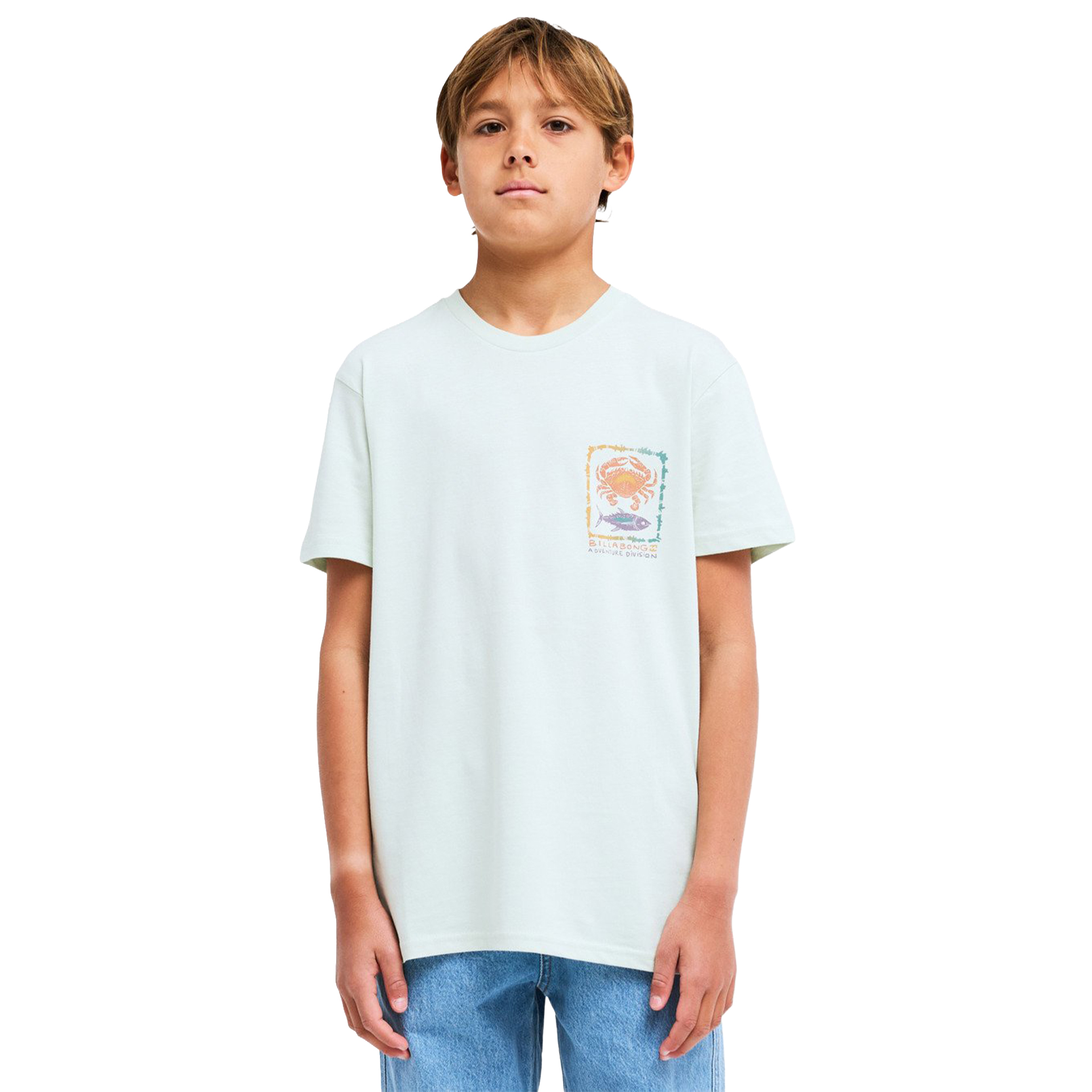 Billabong T-shirt Fauna Mist Green