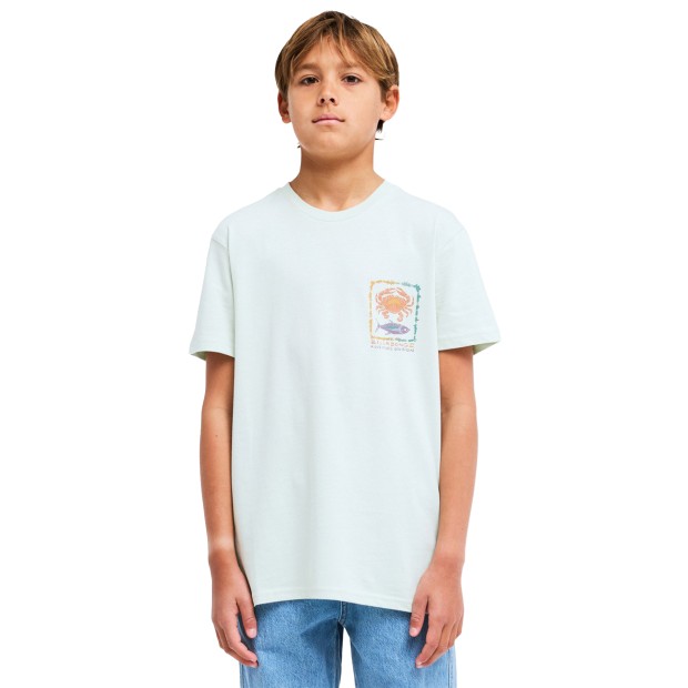 Billabong T-shirt Fauna Mist Green