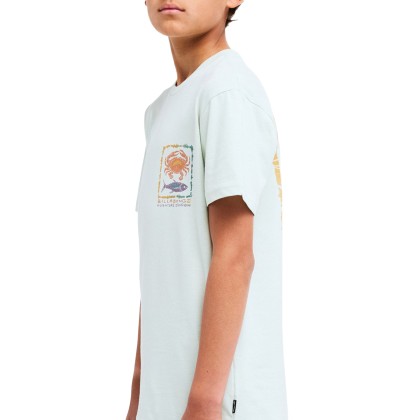 Billabong T-shirt Fauna Mist Green