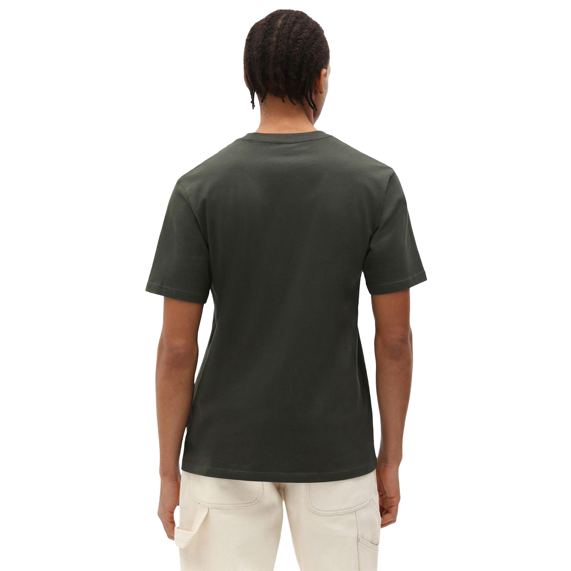 Dickies T-shirt Mapleton Olive Green