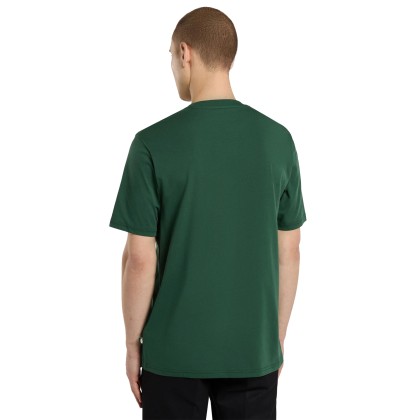 Dickies T-shirt Mapleton Pine Needle Green Dickies T-shirt Mapleton Pine Needle Green