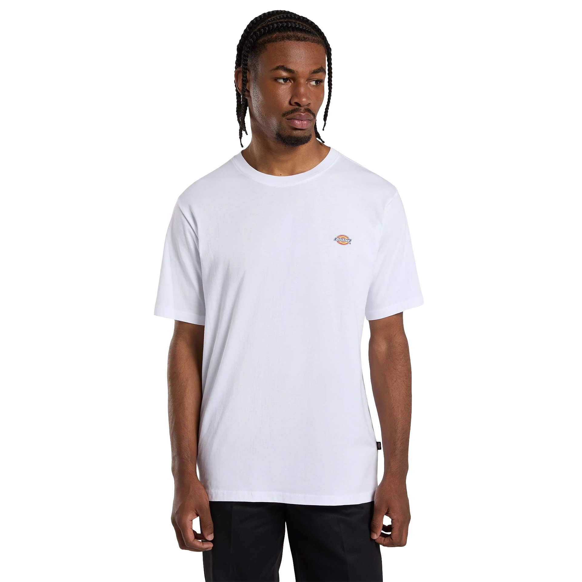 Dickies T-shirt Mapleton White