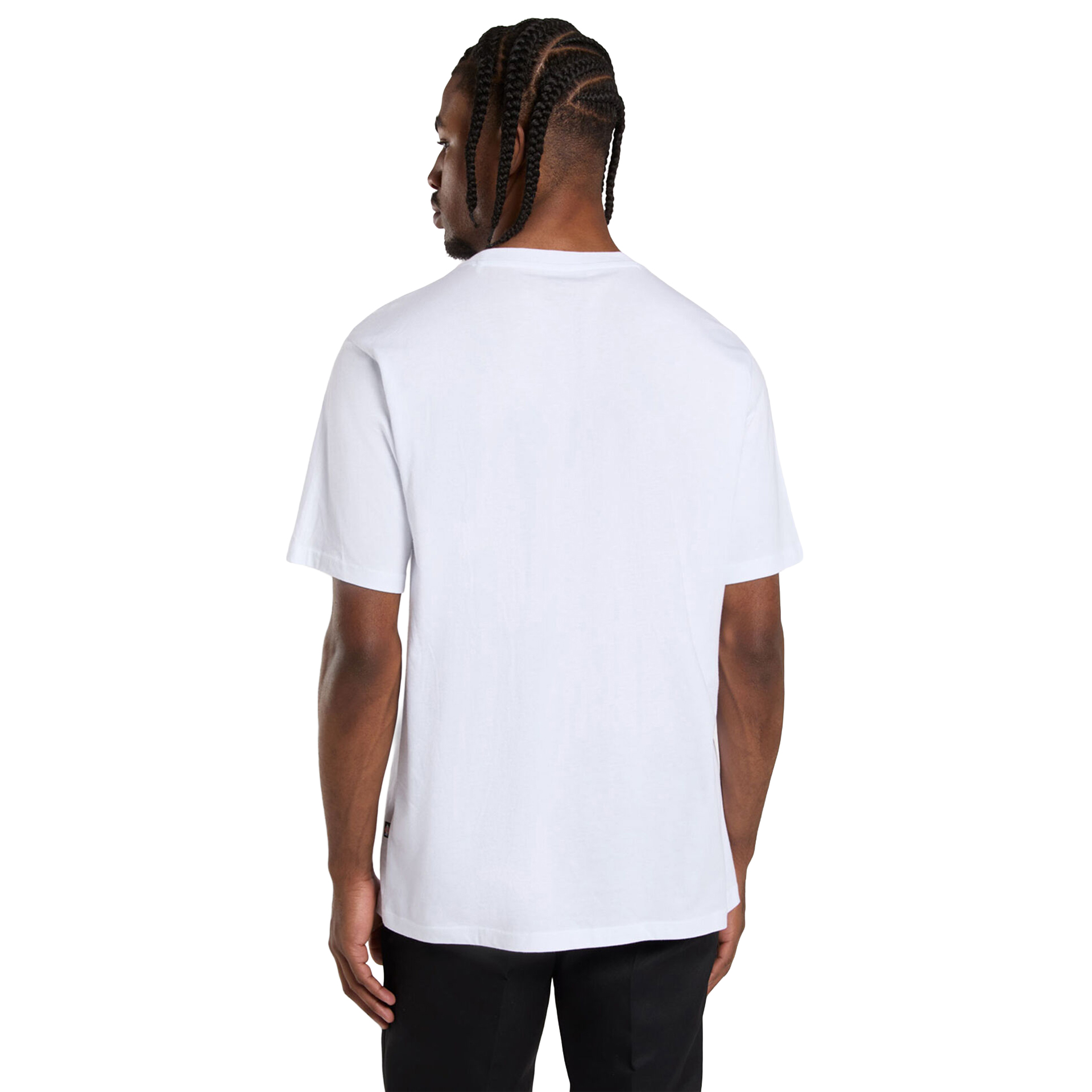 Dickies T-shirt Mapleton White