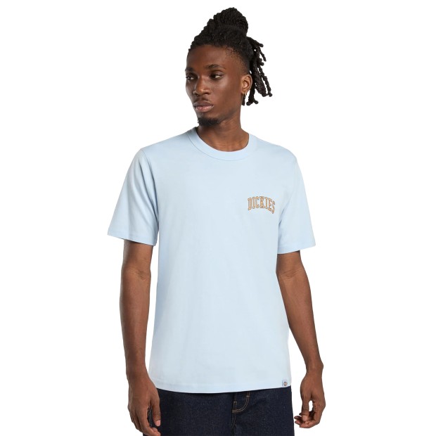 Dickies Aitkin Chest Tee Ss Skyway