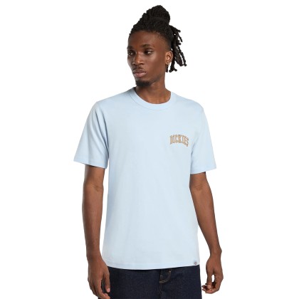Dickies Aitkin Chest Tee Ss Skyway Dickies Aitkin Chest Tee Ss Skyway