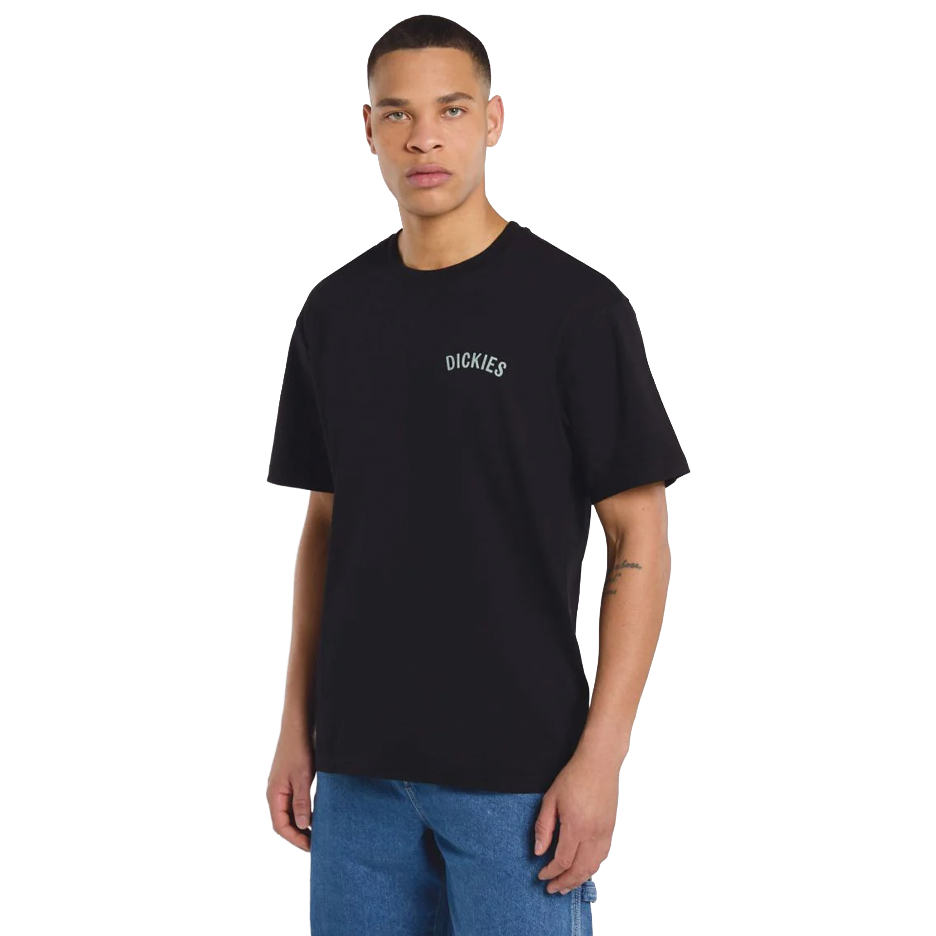 Dickies T-shirt Snake Black