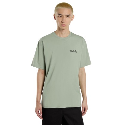 Dickies T-shirt Snake Iceberg Green Dickies T-shirt Snake Iceberg Green