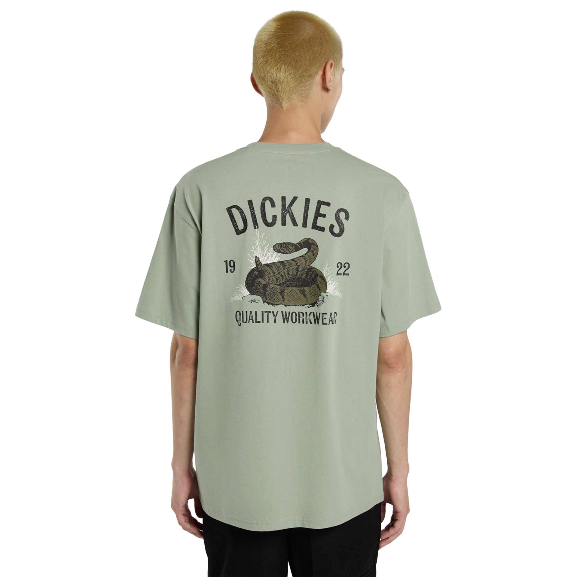 Dickies T-shirt Snake Iceberg Green