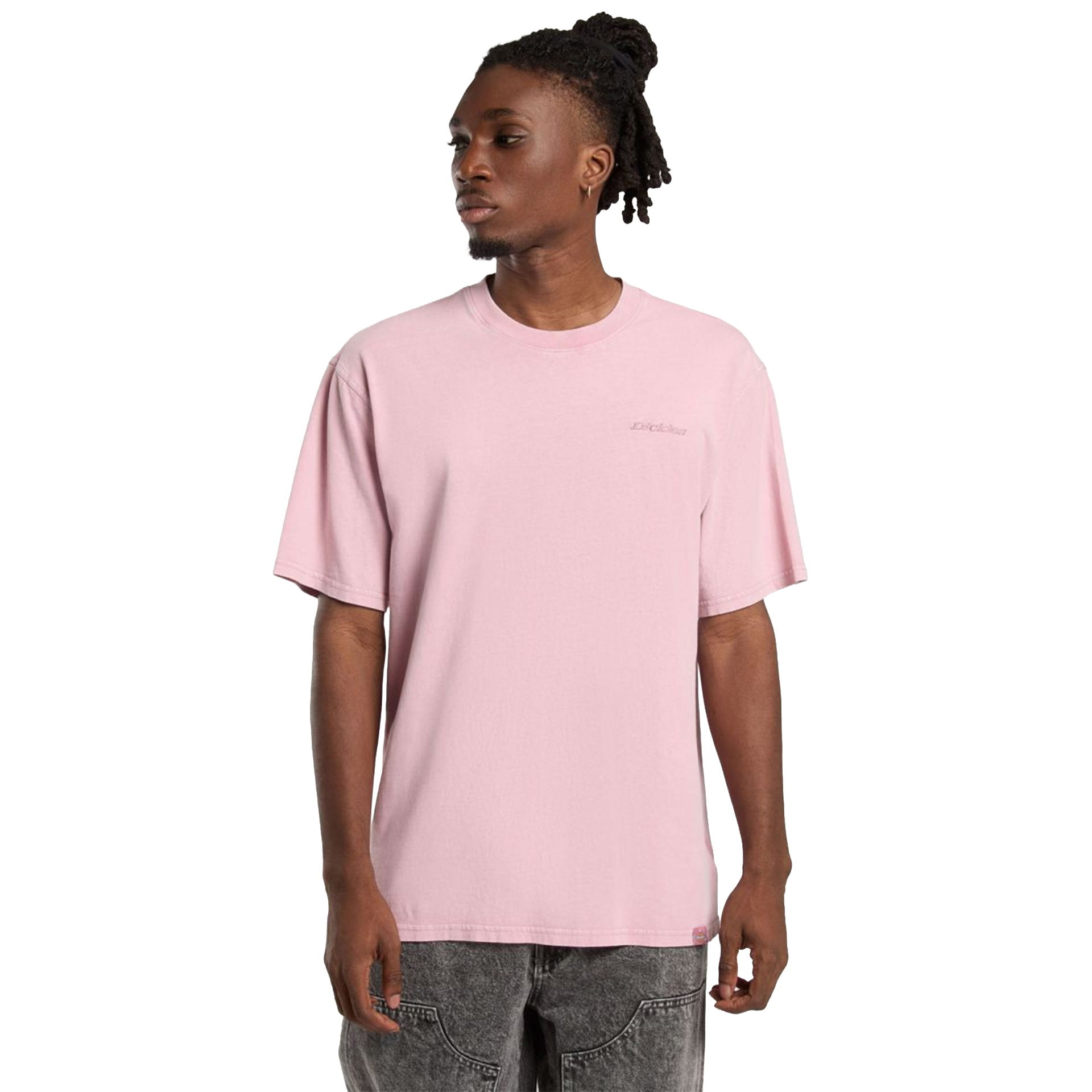 Dickies T-shirt Plentywood Lilas