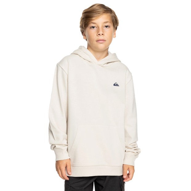 Quiksilver Sweat Basic Hoodie Yth Birch