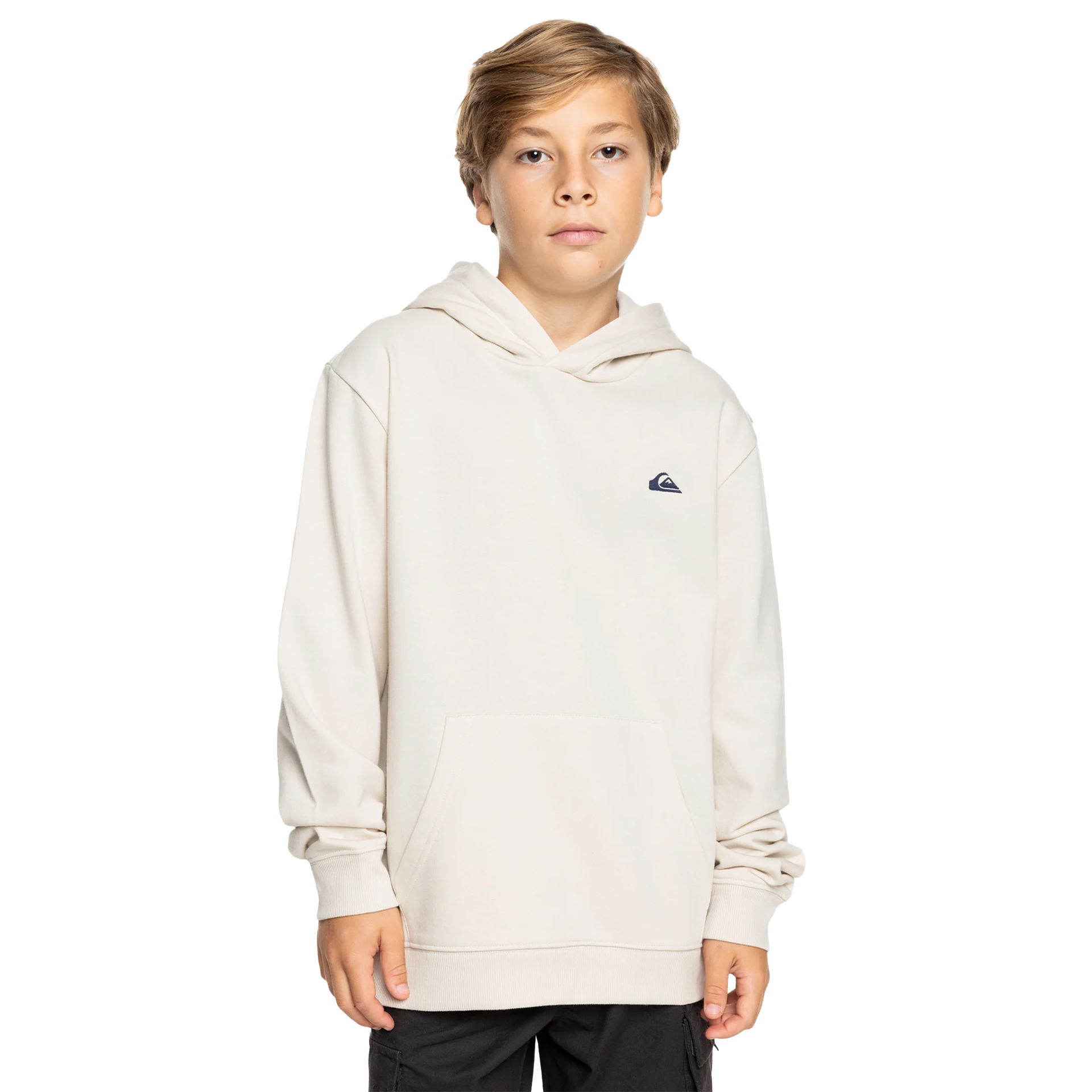 Quiksilver Sweat Basic Hoodie Yth Birch