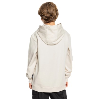 Quiksilver Sweat Basic Hoodie Yth Birch