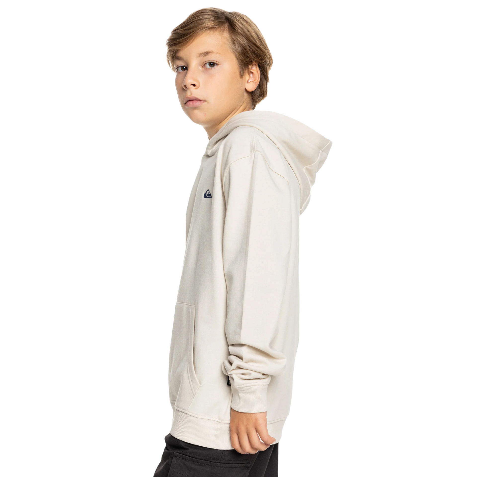 Quiksilver Sweat Basic Hoodie Yth Birch