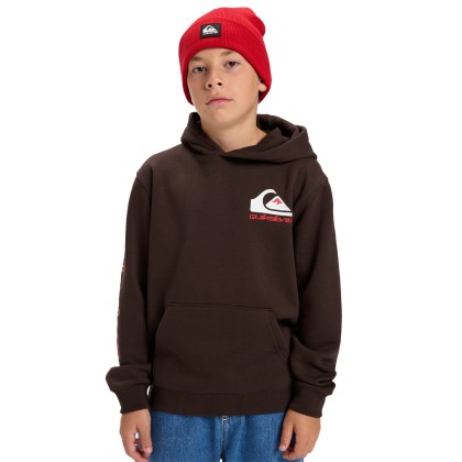 Quiksilver Sweat Omnilog Hood Yth Chocolate Brown