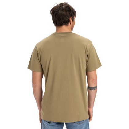 Quiksilver T-shirt Ev Sun Dagger Aloe Quiksilver T-shirt Ev Sun Dagger Aloe