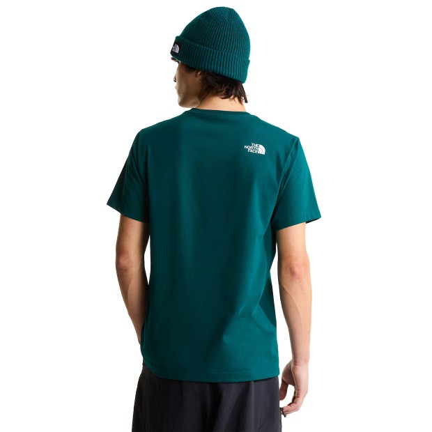 The North Face T-shirt M Evolution Box Half Dome Reg Pacific Teal