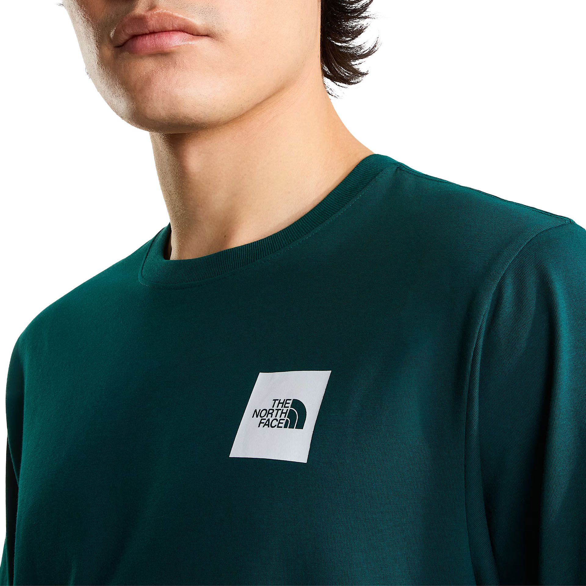 The North Face T-shirt M Evolution Box Half Dome Reg Pacific Teal