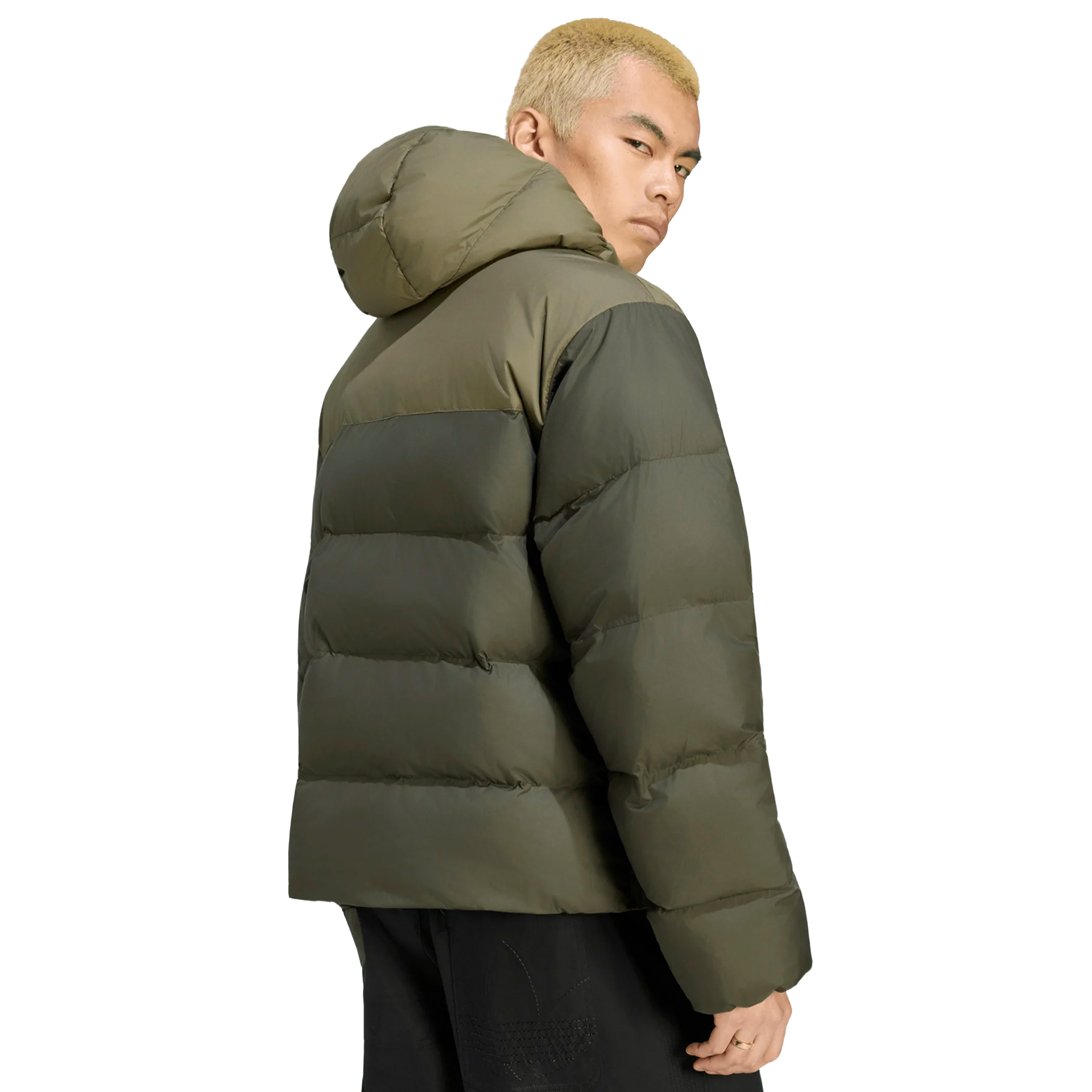 adidas Originals Casaco Hooded Regen Green / Night Cargo