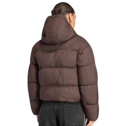 adidas Originals Casaco Hooded Padded Brown / Aurora Coffee