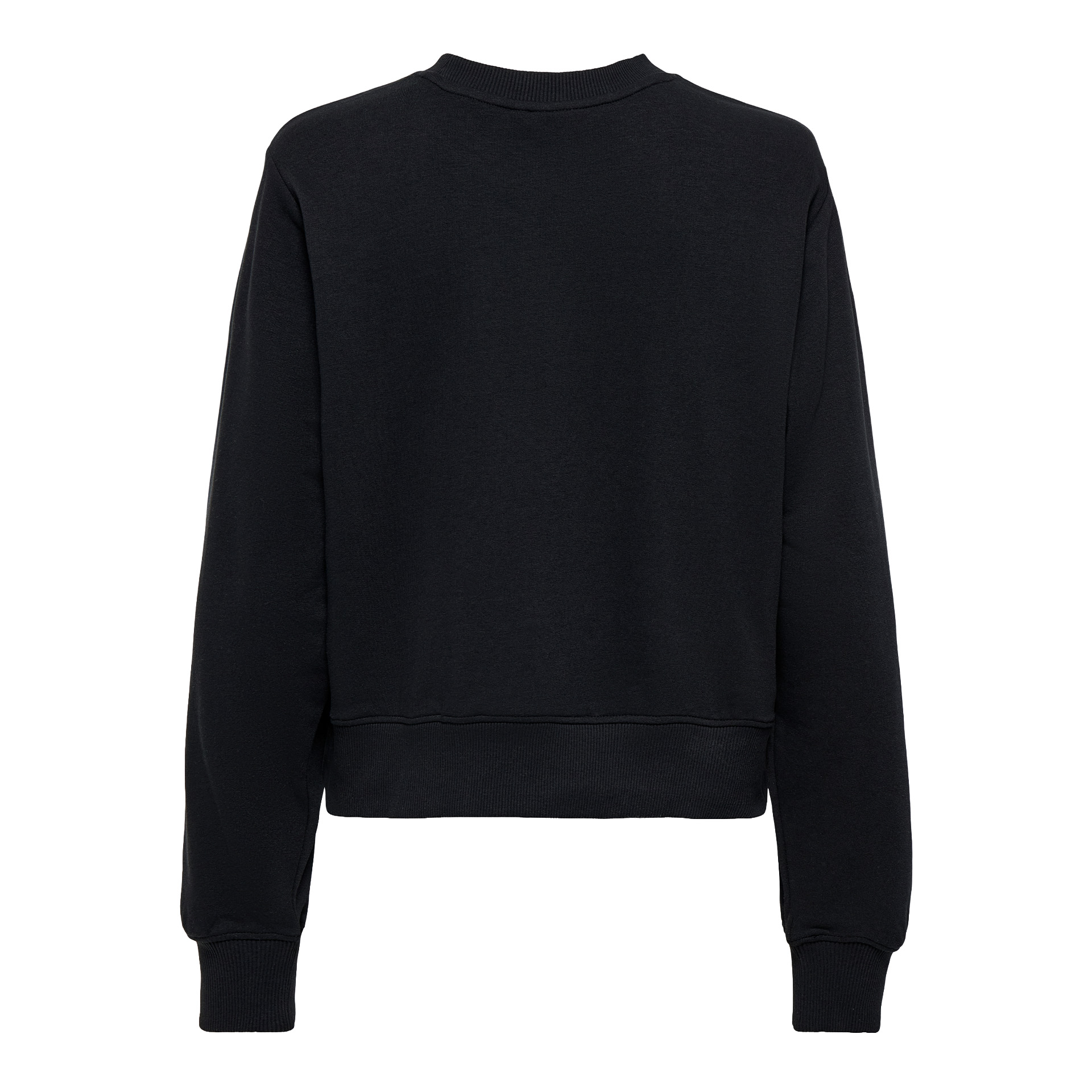 Only Sweat Bila Bear O-neck Black Teddy Shopaholic