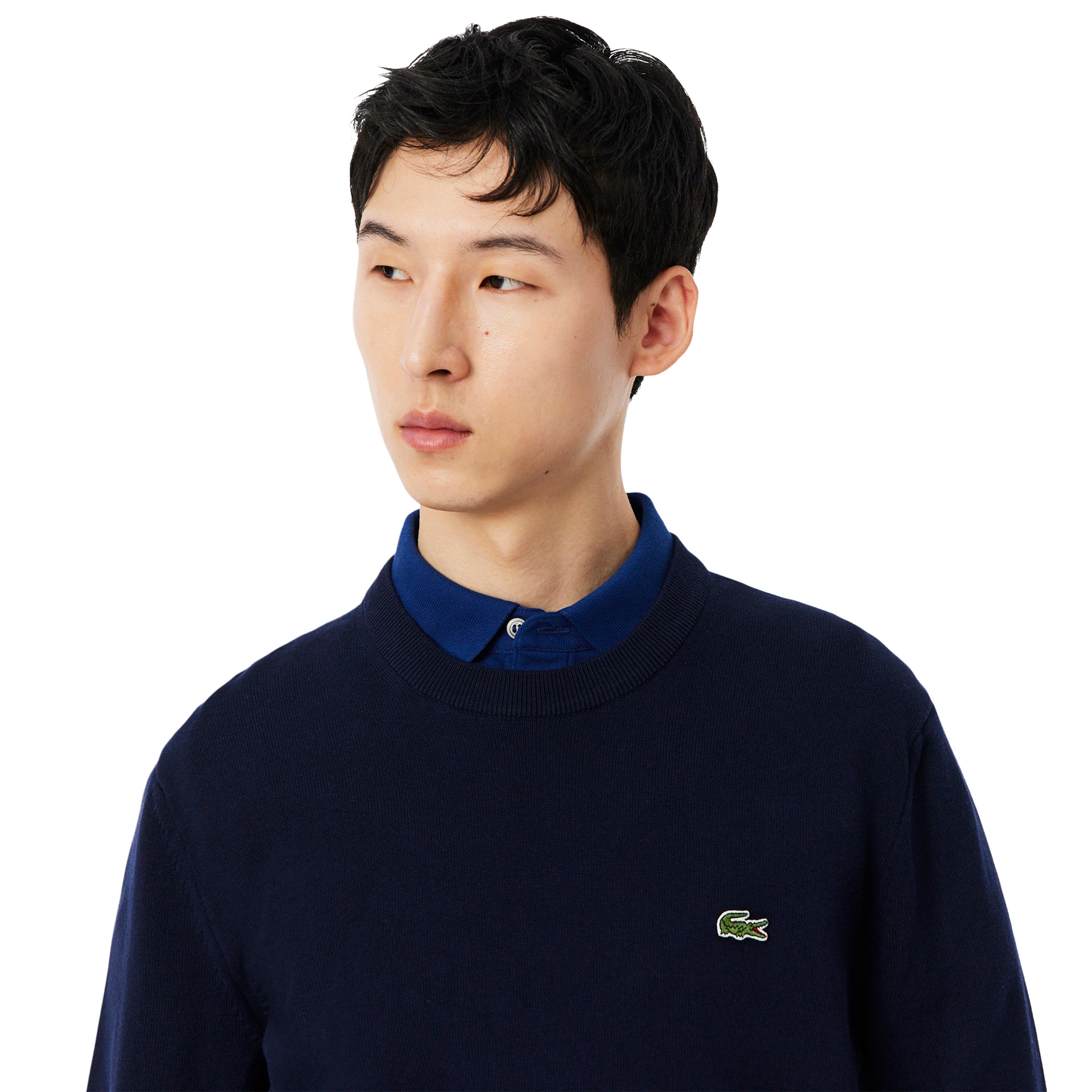 Lacoste Sweat Crewnecks Jersey Navy Blue